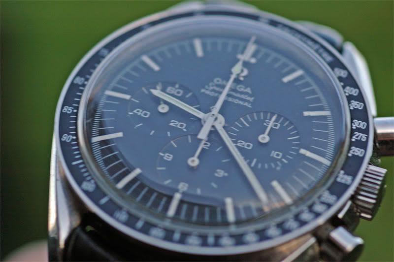 speedmaster on small wrist